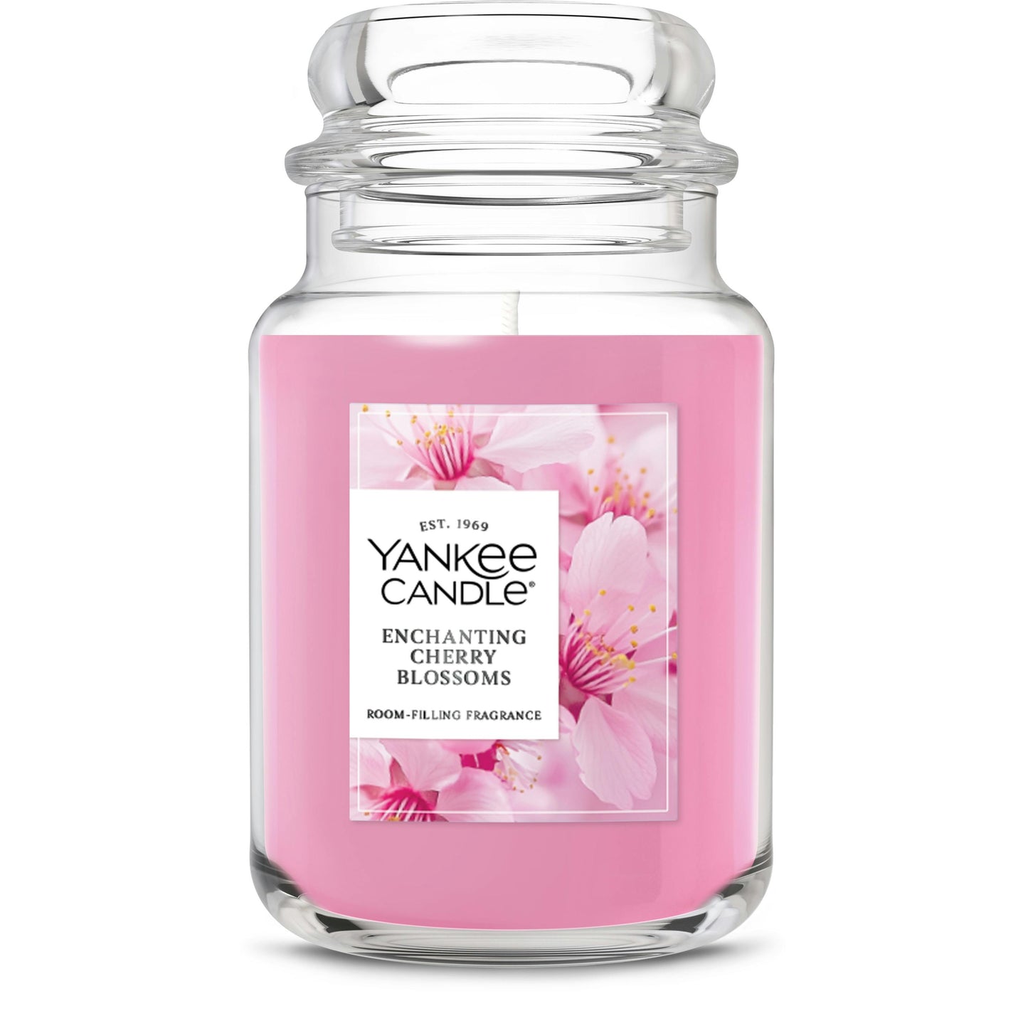 Enchanting Cherry Blossoms G6NQ