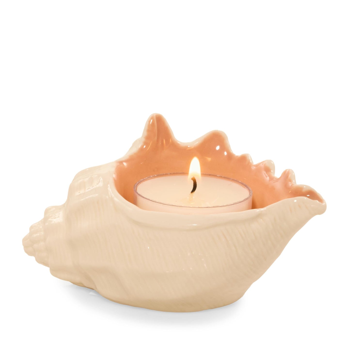 Seashell Tea Light Candle Holder 6JOJ