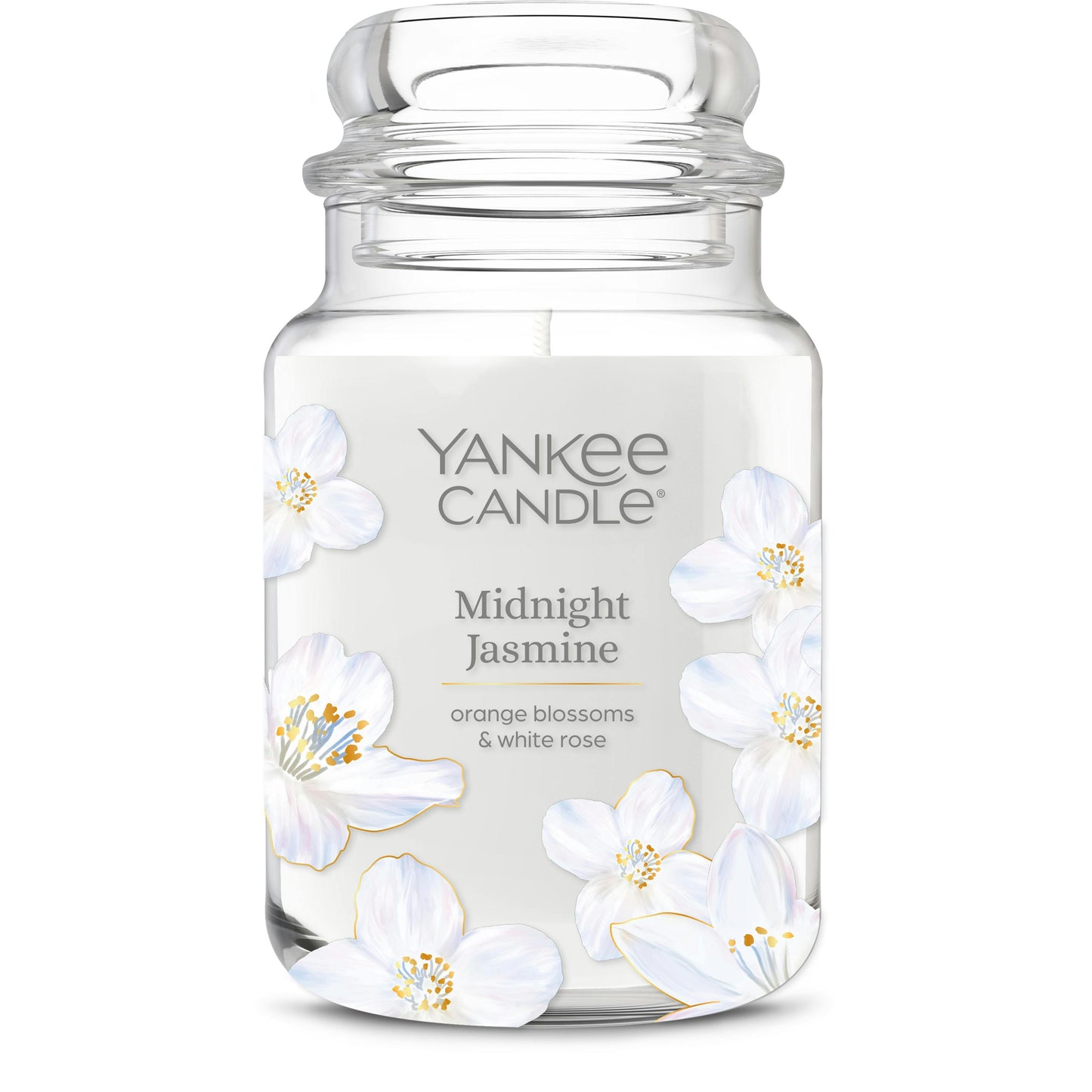 Midnight Jasmine 50BC