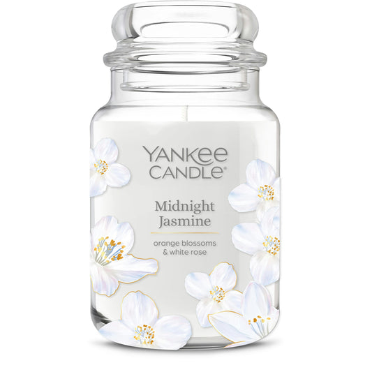 Midnight Jasmine 50BC