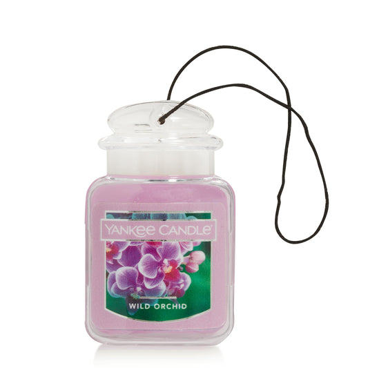 Wild Orchid W6OC
