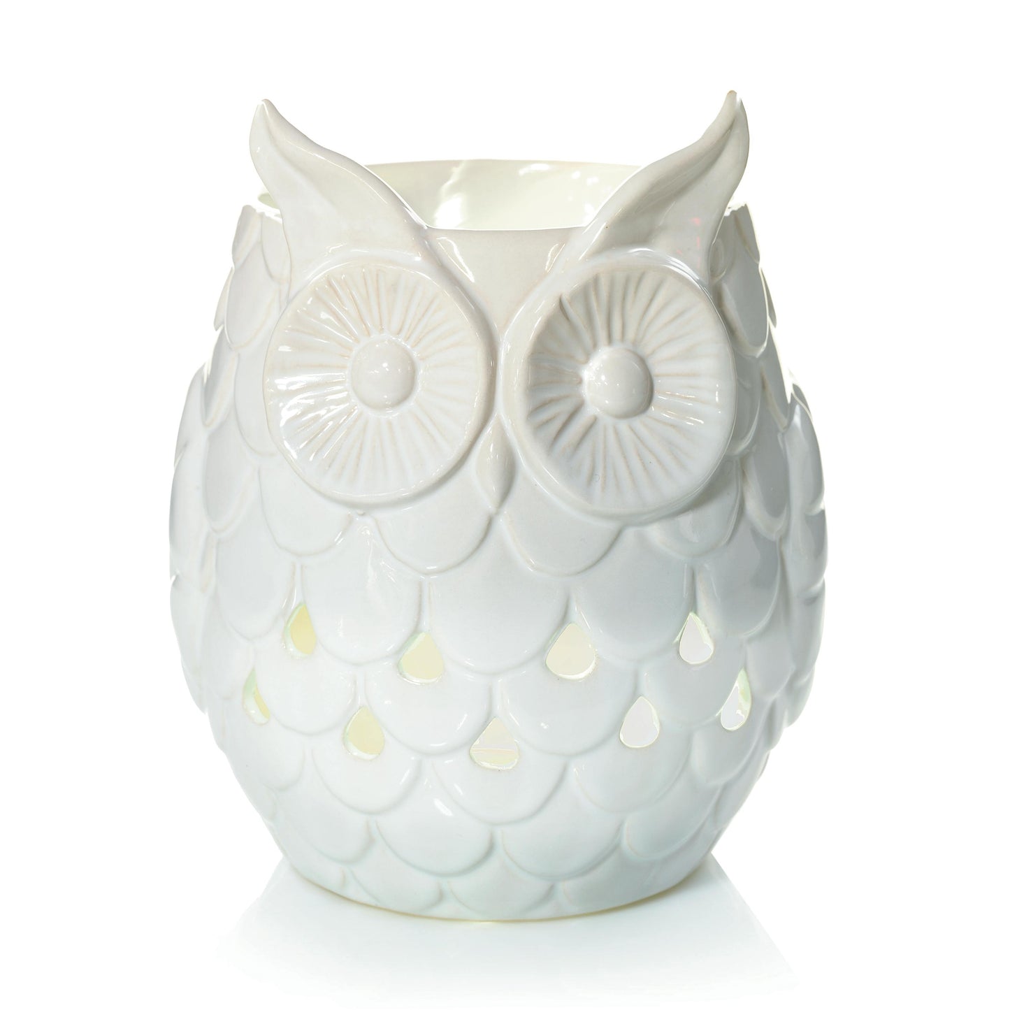 Owl PFS4