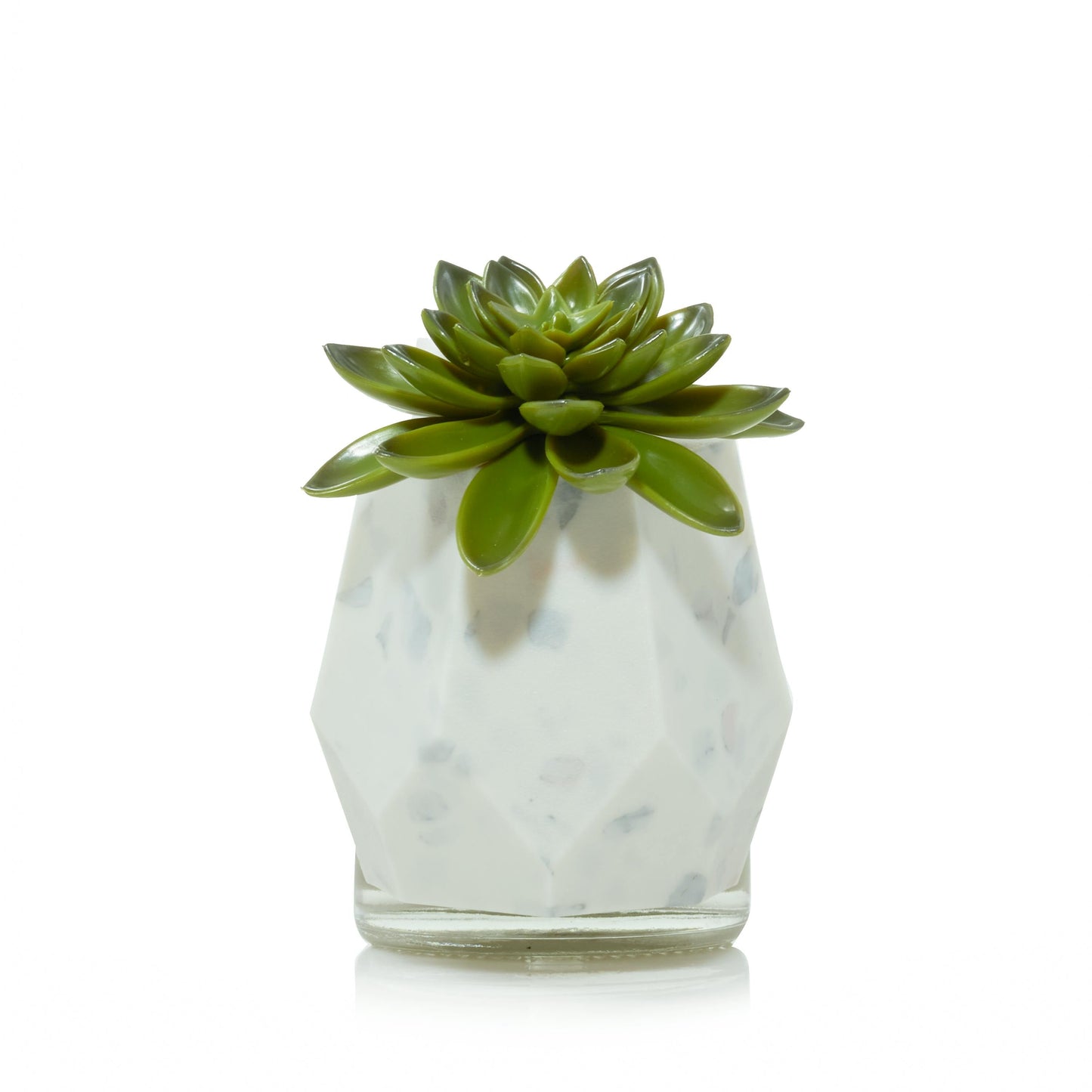 Faceted Succulent ScentPlug® Diffuser with Light PM8K