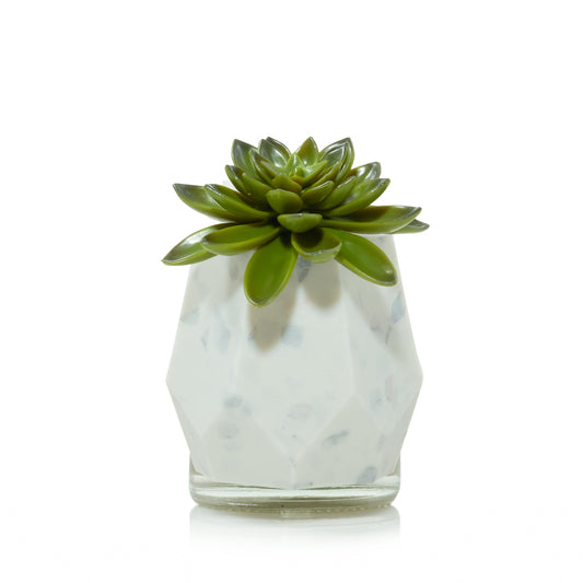 Faceted Succulent ScentPlug® Diffuser with Light PM8K
